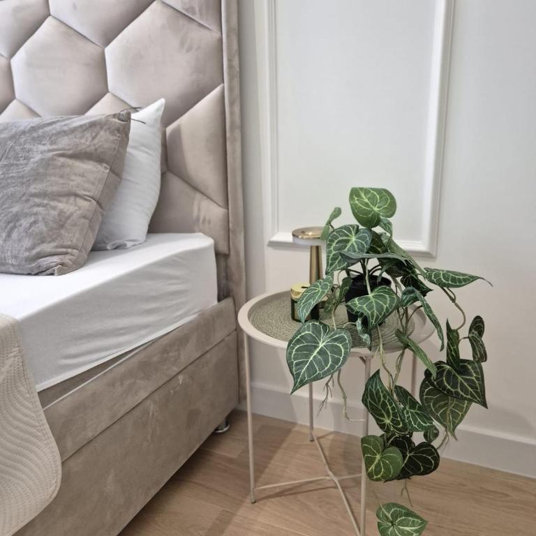 Waterfront Collection Apartments - Deluks Dvokrevetna Soba sa Bračnim Krevetom - 5