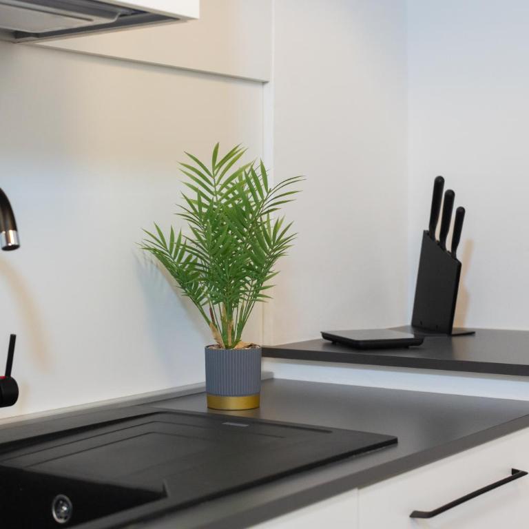 Città Alta Home - 5min from BGY Airport-AC-WiFi - Appartamento con 1 Camera da Letto - 18