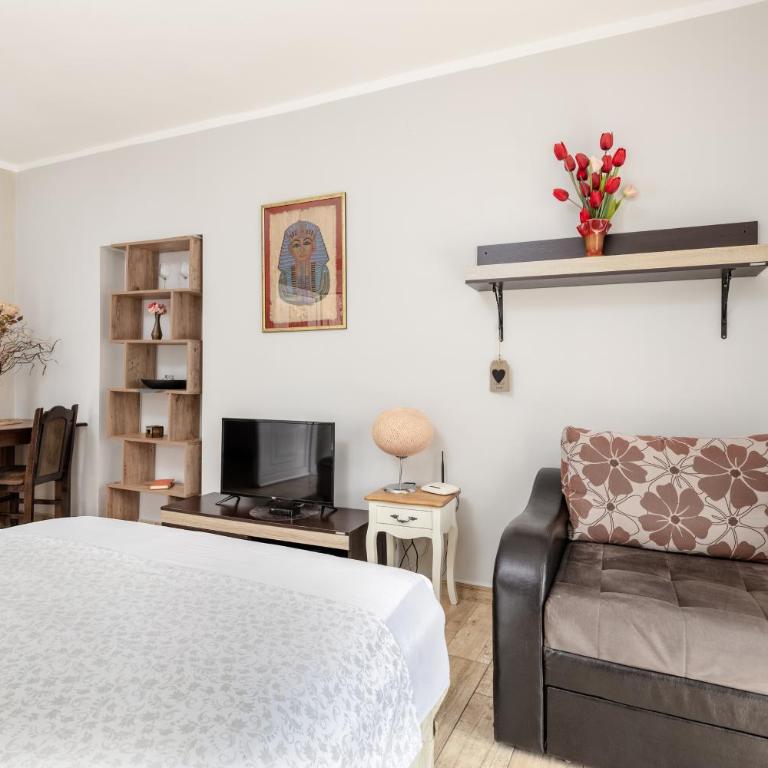 Apartments Krstos place - Standard Studio - 12