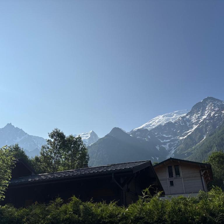 Face au MtBlanc avec jardin - Appartement 1 Chambre - 2