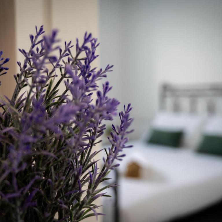 Likehome Ponente Levante 2 Ville luxury Pool 12pxs - Villa - 18