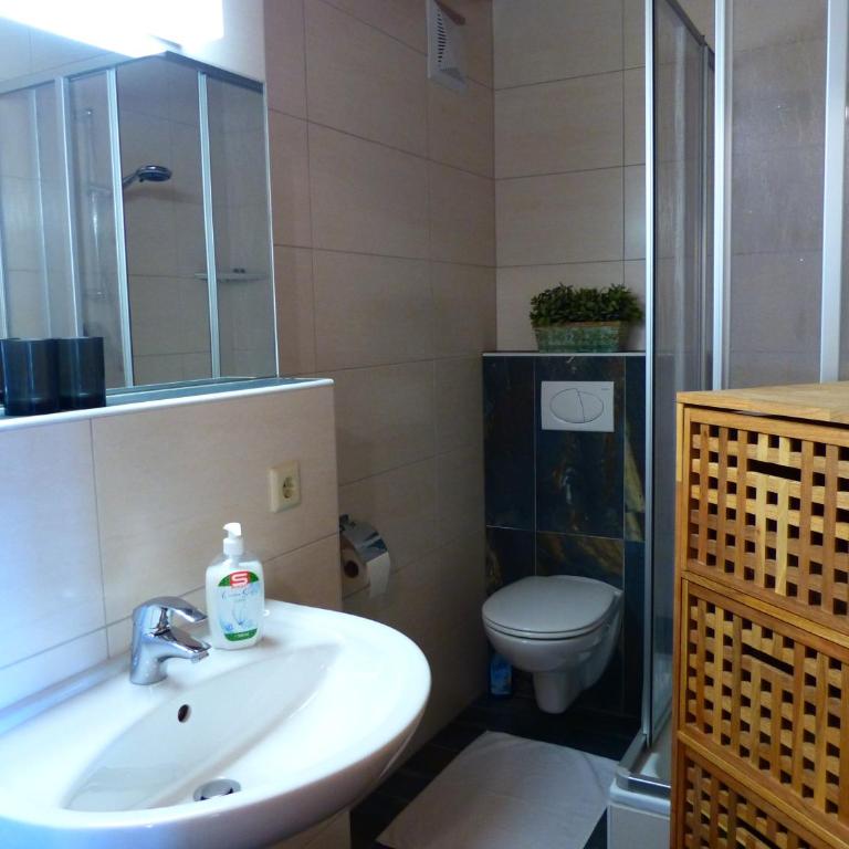 Mountainview Appartement mit Balkon und Carport - Appartamento con 1 Camera da Letto e Balcone - 14