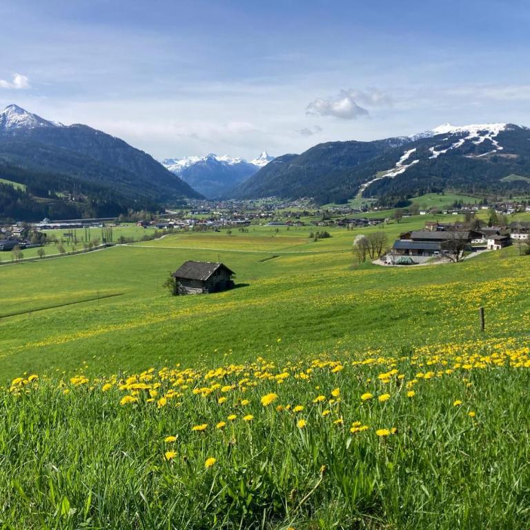 Mountainview Appartement mit Balkon und Carport - Appartamento con 1 Camera da Letto e Balcone - 25