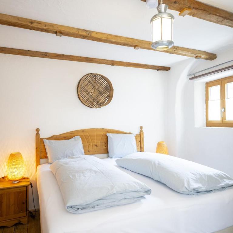 Chasa Rustica - Apartment - 20