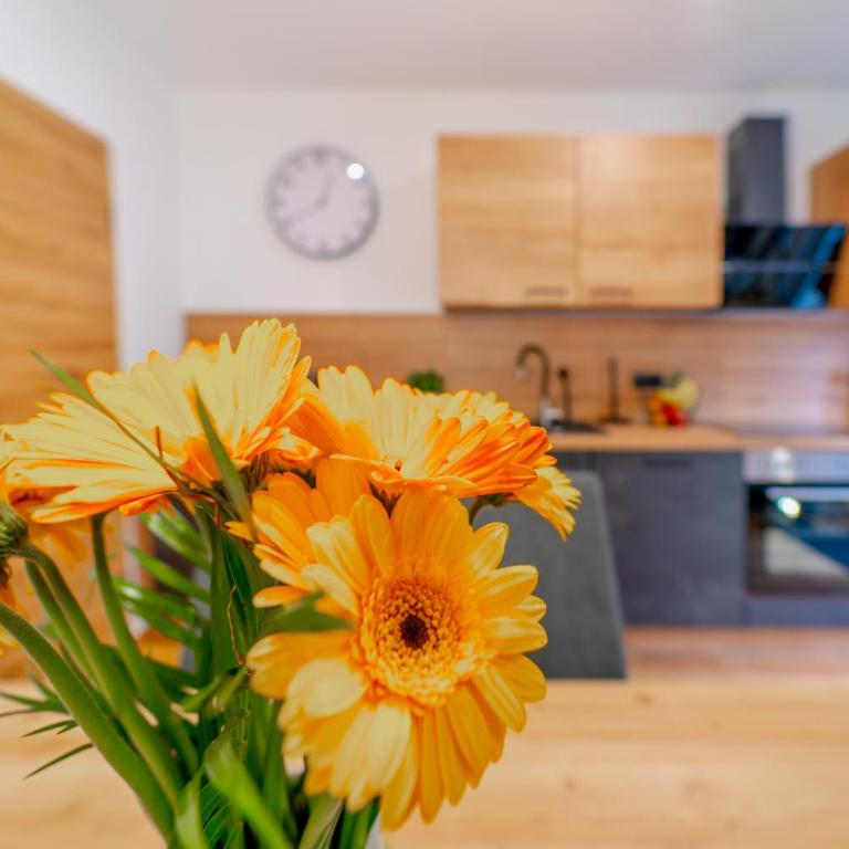 Oetztaler Lausbubenhaus Max & Moritz - Apartment mit 2 Schlafzimmern und Gartenblick - 13