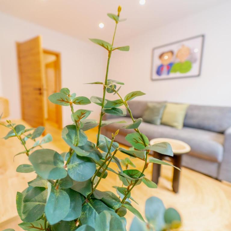 Oetztaler Lausbubenhaus Max & Moritz - Apartment mit 2 Schlafzimmern und Gartenblick - 13