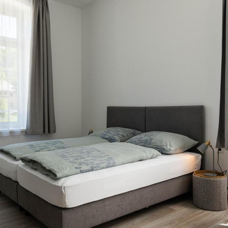 Haus Viasana - Deluxe Studio - 4