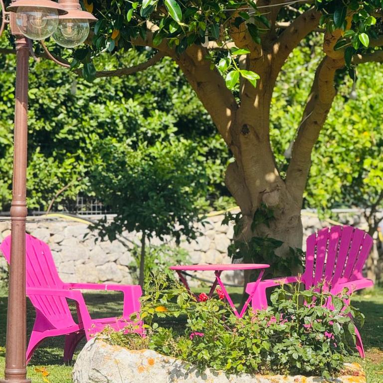 Il Casale di Luisa - Camera Matrimoniale/Doppia con Letti Singoli con Bagno Privato Esterno - 16