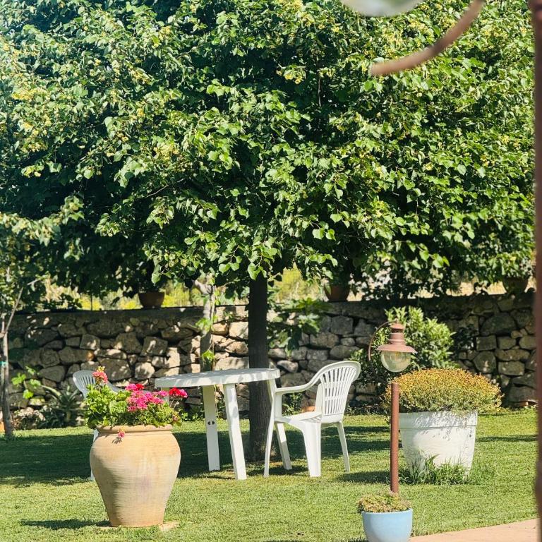 Il Casale di Luisa - Camera Matrimoniale/Doppia con Letti Singoli con Bagno Privato Esterno - 51