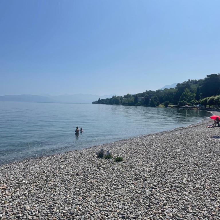 Luxe,calme et volupté - Appartement - Vue sur Lac - 13