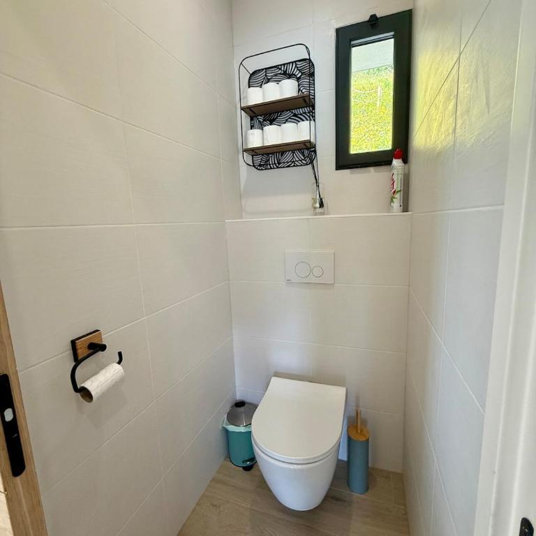 La Maison du Lac sleeps 10 and has air conditioning - Villa - 33