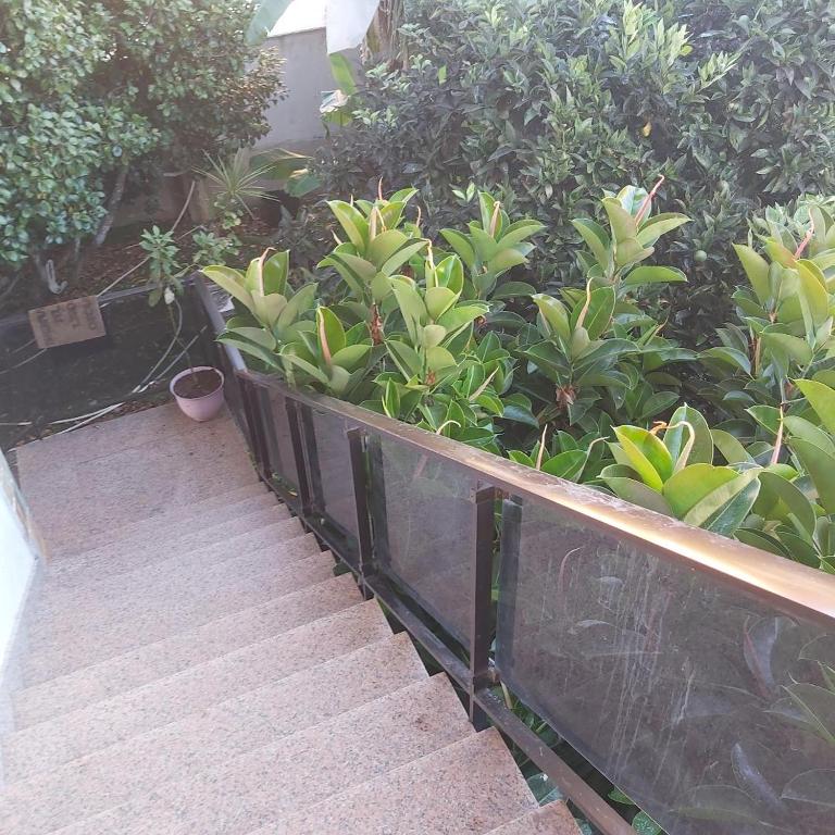 casa bembrive - Casa de 5 dormitorios - 8