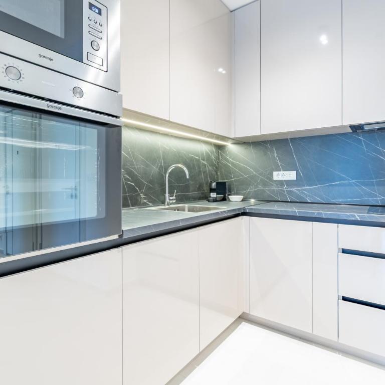 Park Vila Apartments - Deluxe One-Bedroom Apartment - 12