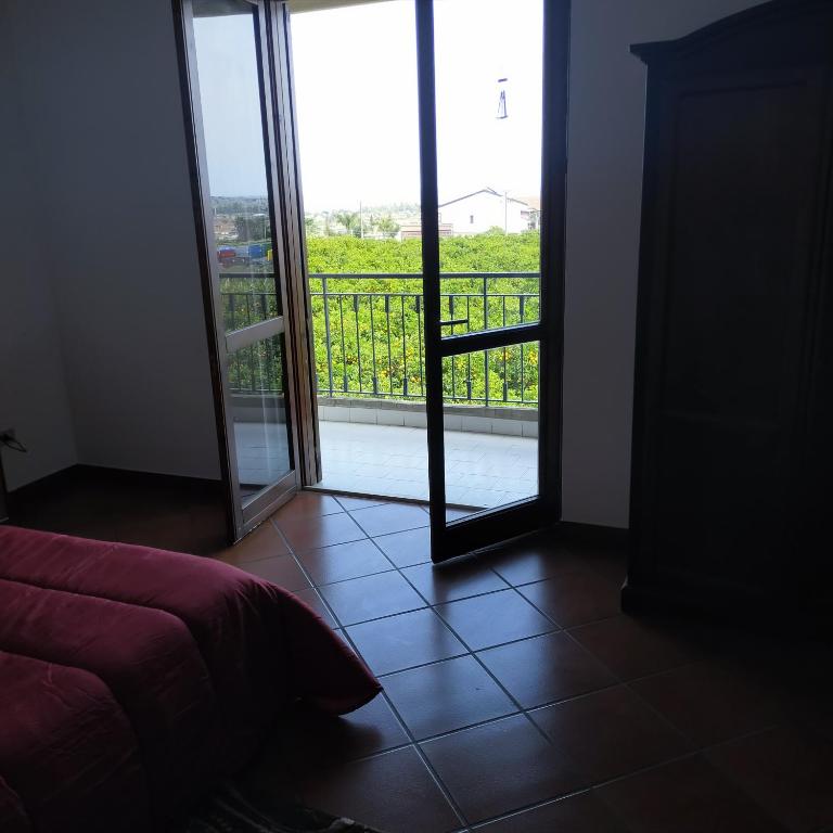 aranceto dell'Etna - Villa Standard - 3