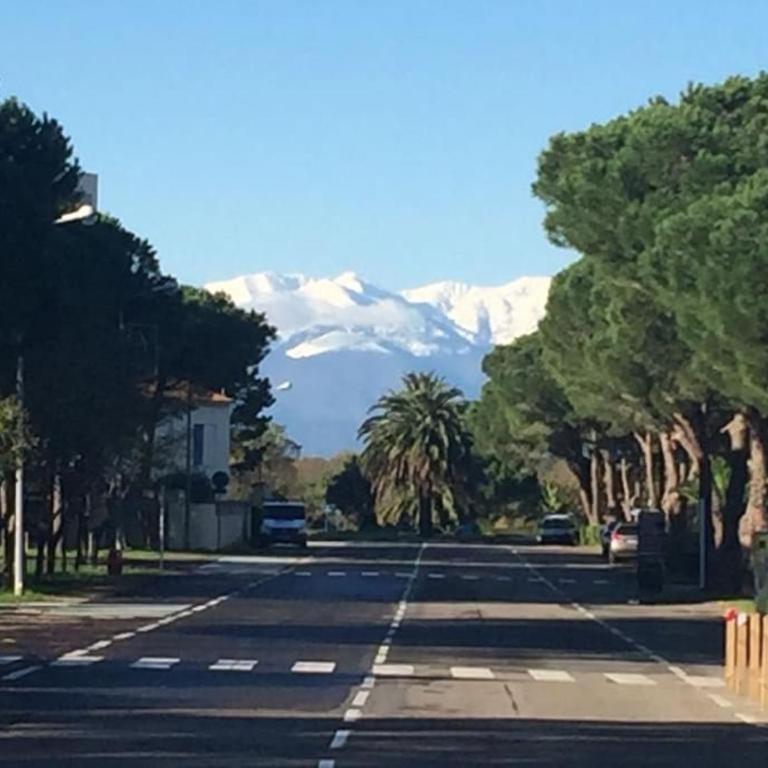 Au calme entre les pins a 300m de la plage - Appartamento con 1 Camera da Letto - 5