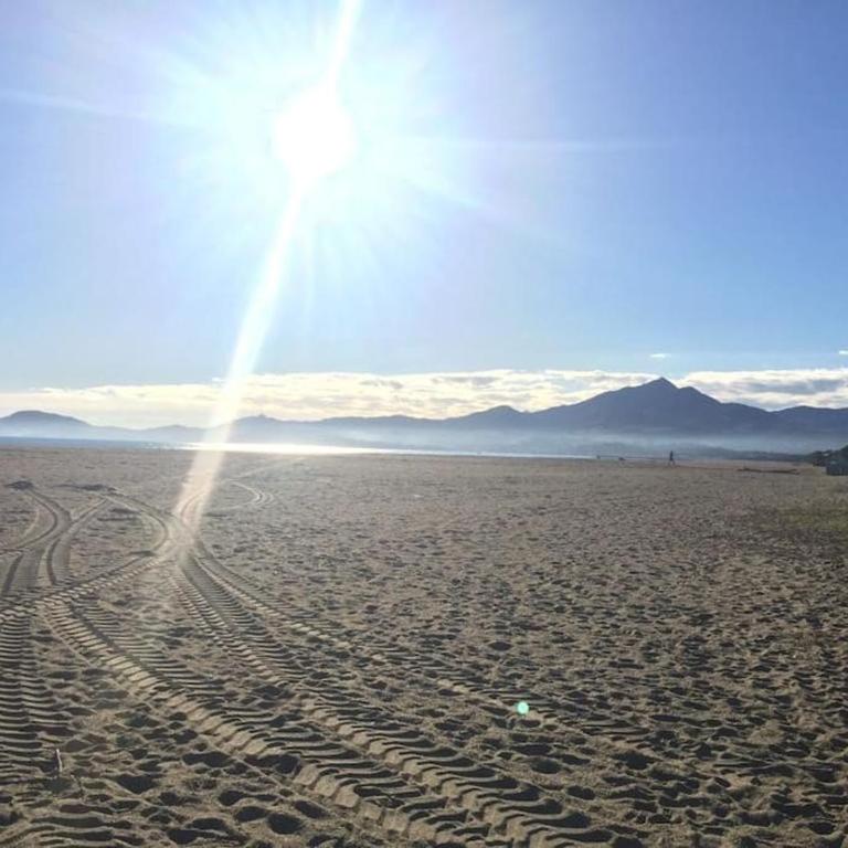 Au calme entre les pins a 300m de la plage - Appartamento con 1 Camera da Letto - 6
