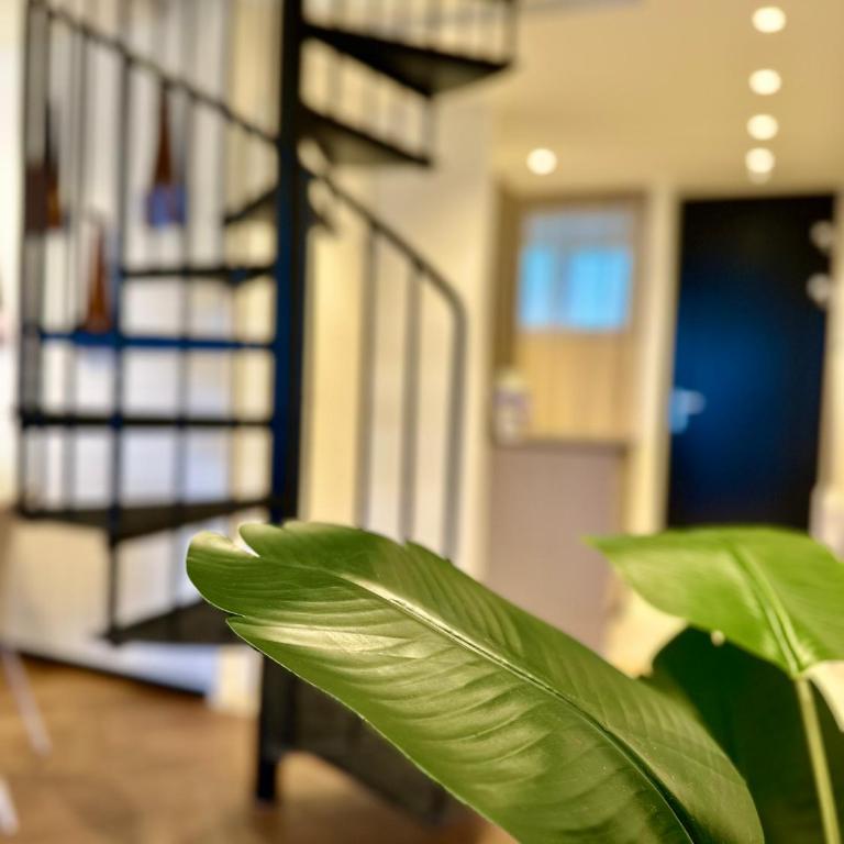 DreamStay Loft - Apartment mit 1 Schlafzimmer - 9