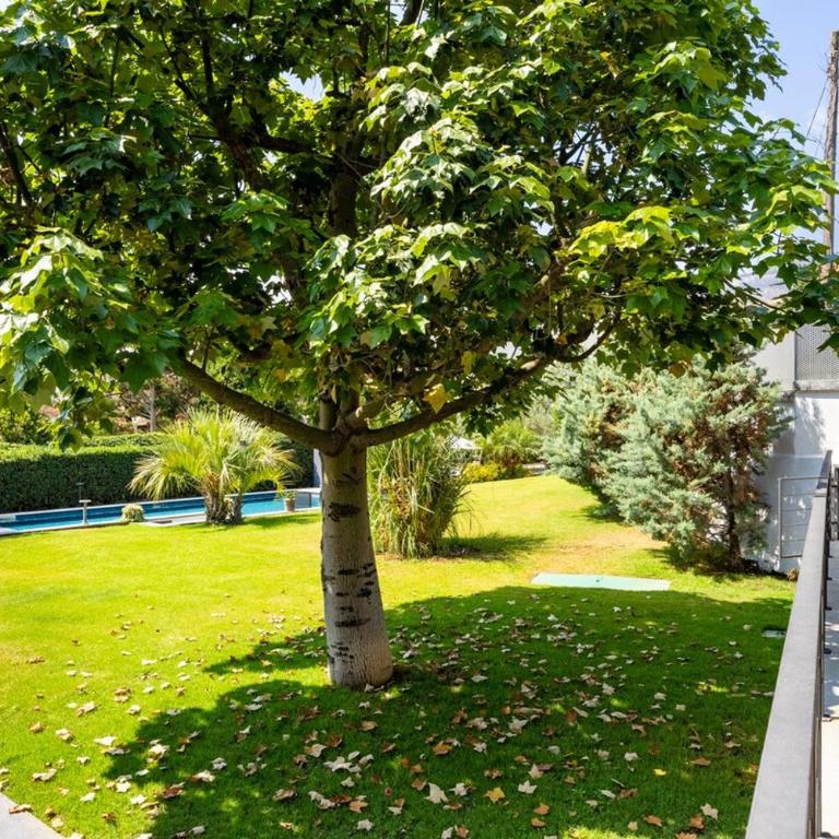 Ibis Lodge With Swimming Pool - One-Bedroom Apartment - 8