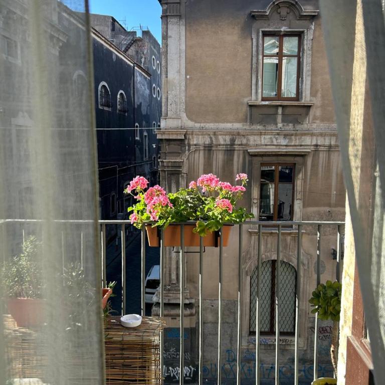 Casa D'Amico al Duomo - Appartamento con 3 Camere da Letto - 31
