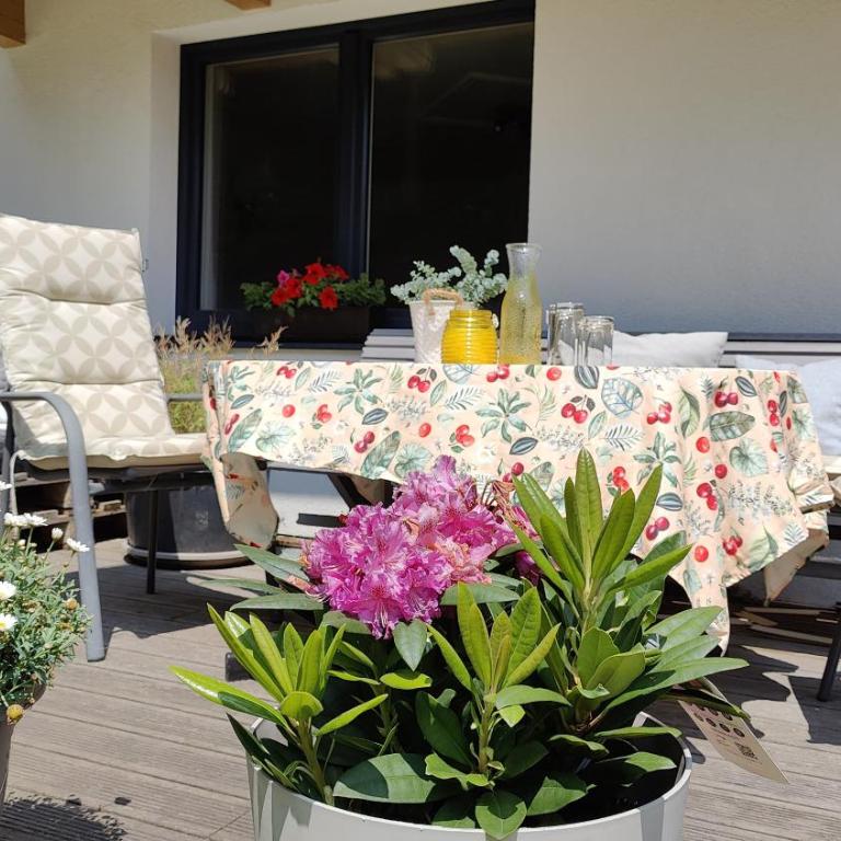Apartment Anni im Haus Hintertal - Apartment mit 2 Schlafzimmern und Bergblick - 32