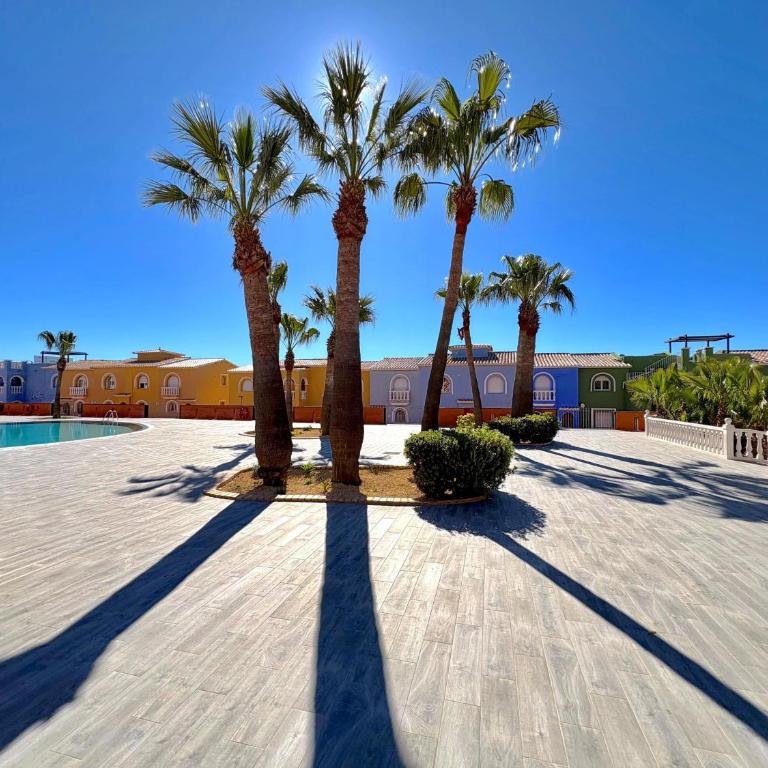 Apartamento Paz VF012 - Apartamento de 2 dormitorios - 21
