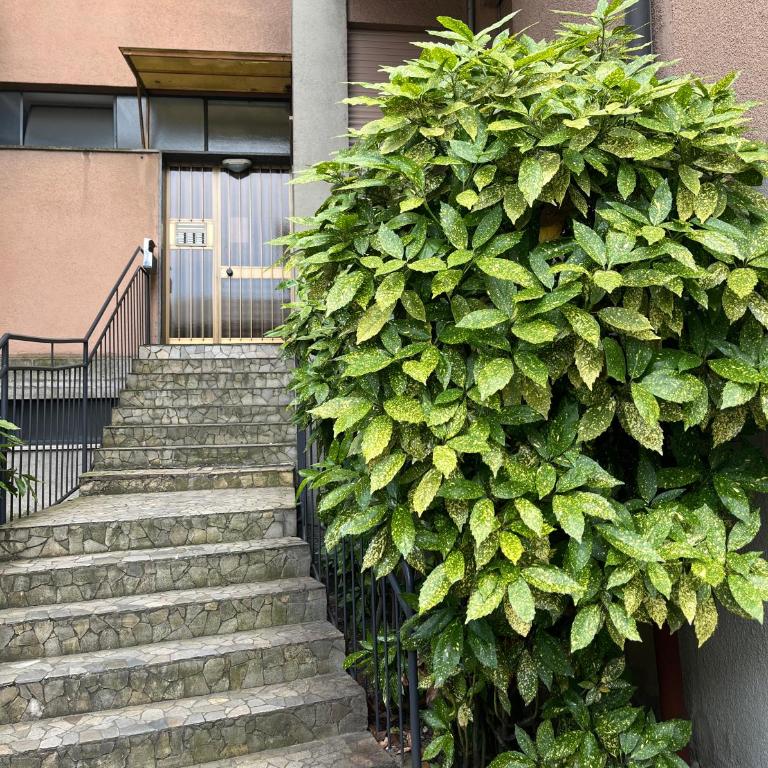 Settebello - Appartamento con 2 Camere da Letto - 27