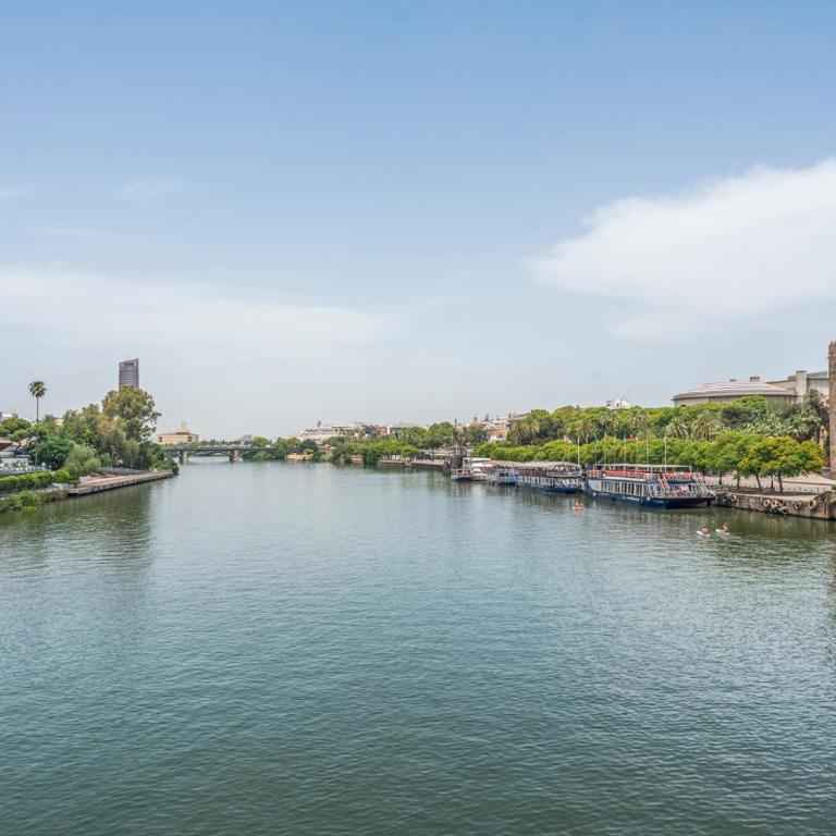 Apartamento Aires de Triana riverside - Apartamento de 1 dormitorio - 19