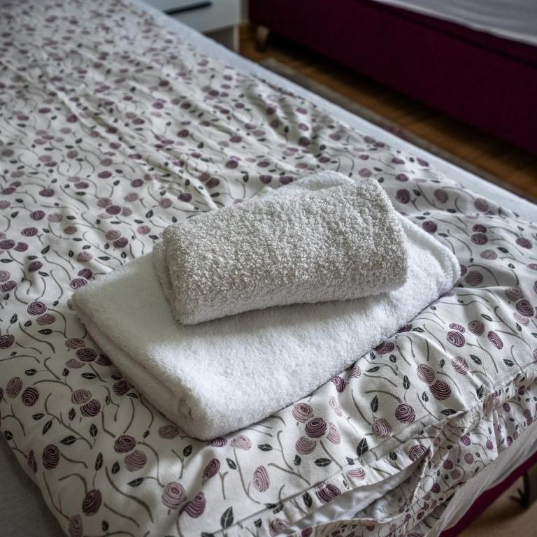 Ilidža Garden Escape - Apartman sa 1 Spavaćom Sobom - 26