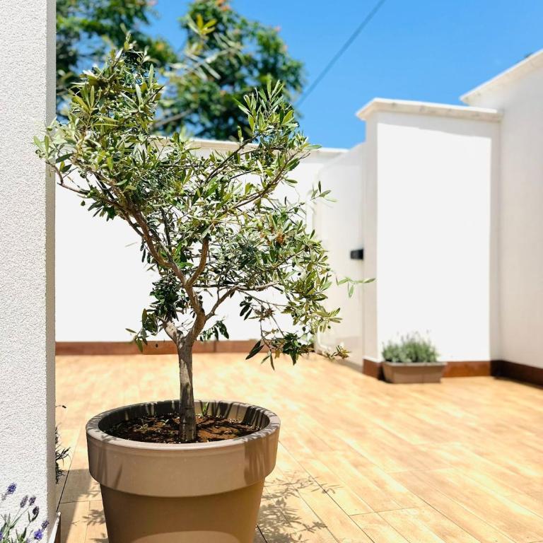 La MAISON D'ISABELLE - Appartamento con 1 Camera da Letto - 4