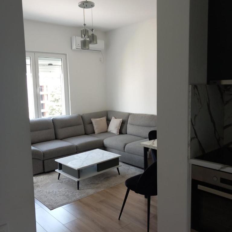 Berjashi Comfort Apartment - Apartman sa 1 Spavaćom Sobom - 7