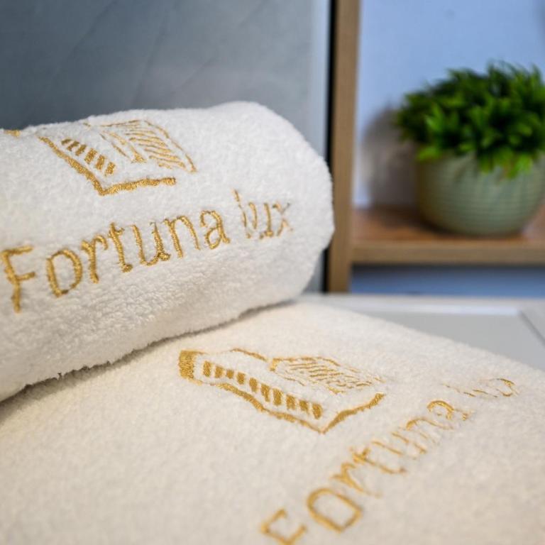 Fortuna Lux Zlatibor - One-Bedroom Apartment - 14