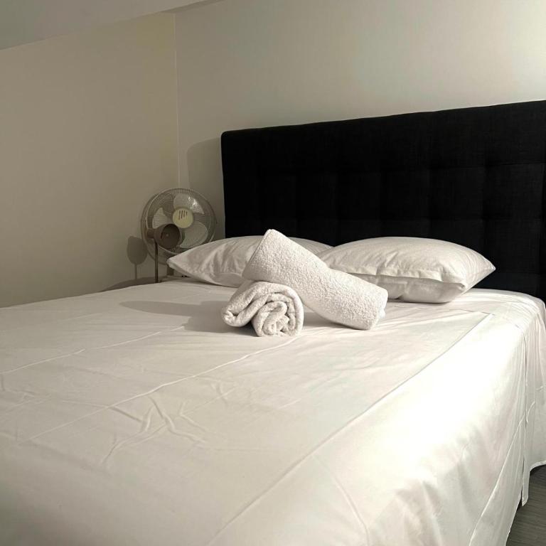 Spacieux T1 lumineux au cœur de Toulon - Apartment mit 3 Schlafzimmern - 29