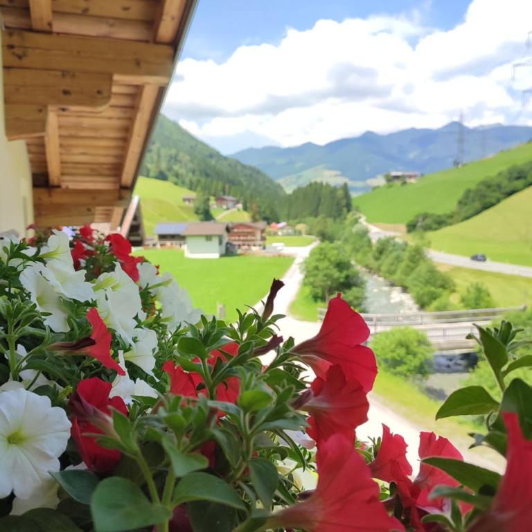 Haus Enzian - Apartment mit 3 Schlafzimmern und Balkon - 12