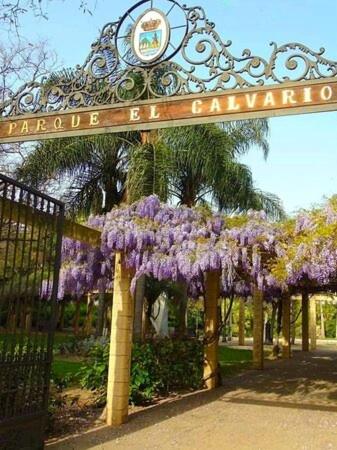 Recently renovated apartment in Estepona Old Town - Apartamento de 3 dormitorios - 20