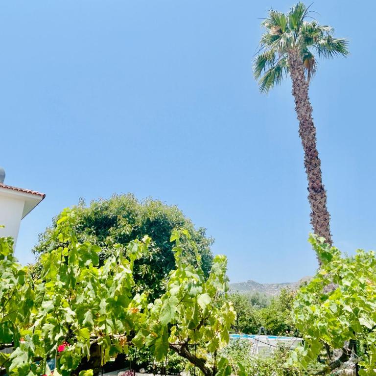 The Great Garden with pool, parking & wifi - Casa con 4 camere da letto - 2