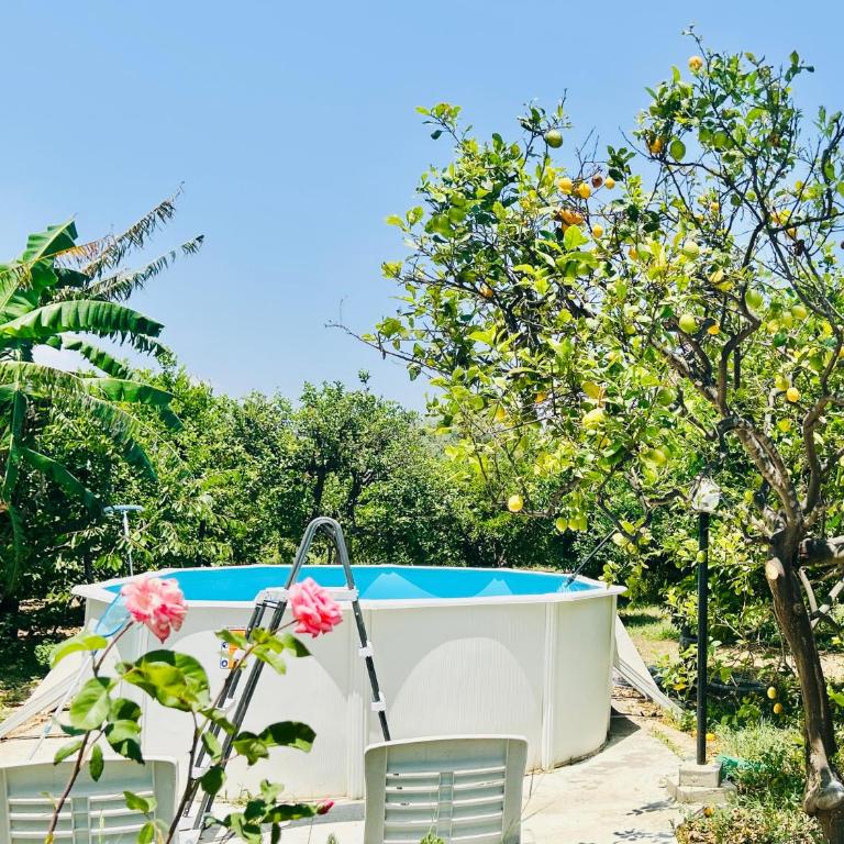 The Great Garden with pool, parking & wifi - Casa con 4 camere da letto - 3