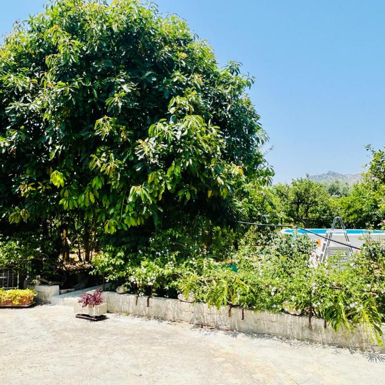 The Great Garden with pool, parking & wifi - Casa con 4 camere da letto - 39