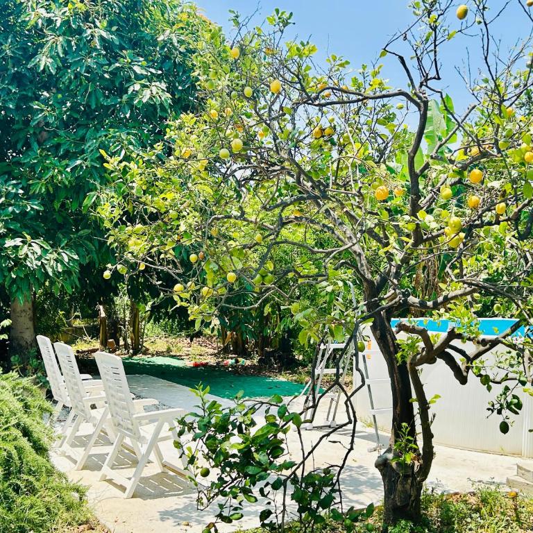 The Great Garden with pool, parking & wifi - Casa con 4 camere da letto - 43