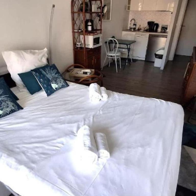 L'ILOT avec balcon, mignon et charmant, un havre de paix au cœur du centre-ville - Appartement 1 Chambre - 9