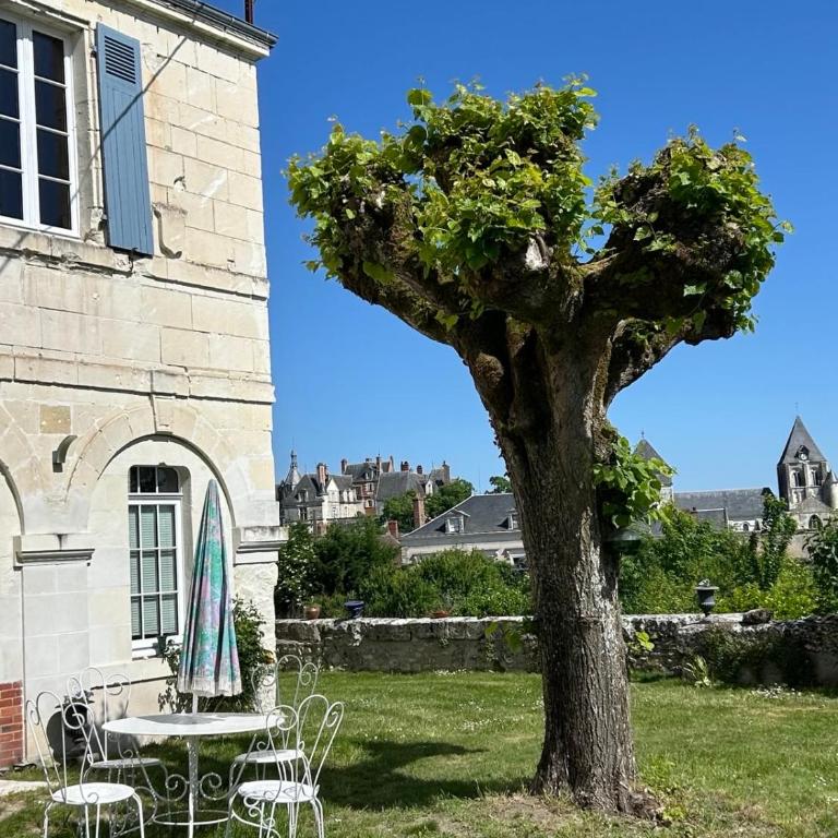 Grand gite en rez-de-jardin - Appartamento con 1 Camera da Letto - 26