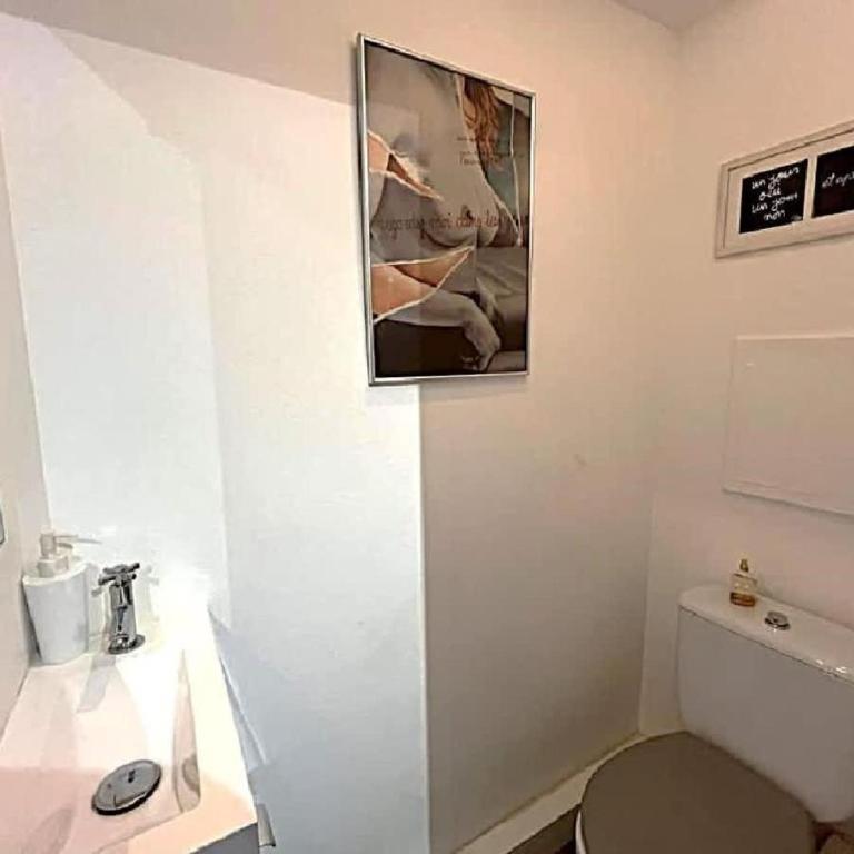 L'ILOT avec balcon, mignon et charmant, un havre de paix au cœur du centre-ville - Appartement 1 Chambre - 18