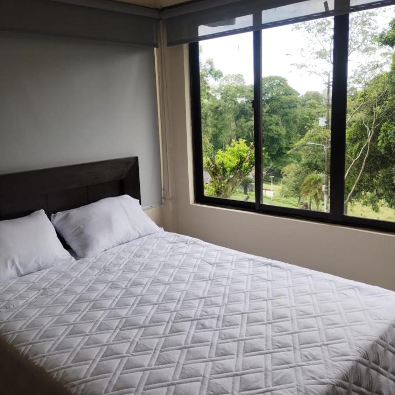 Quimbaya Campestre Hotel - Double Room - 1