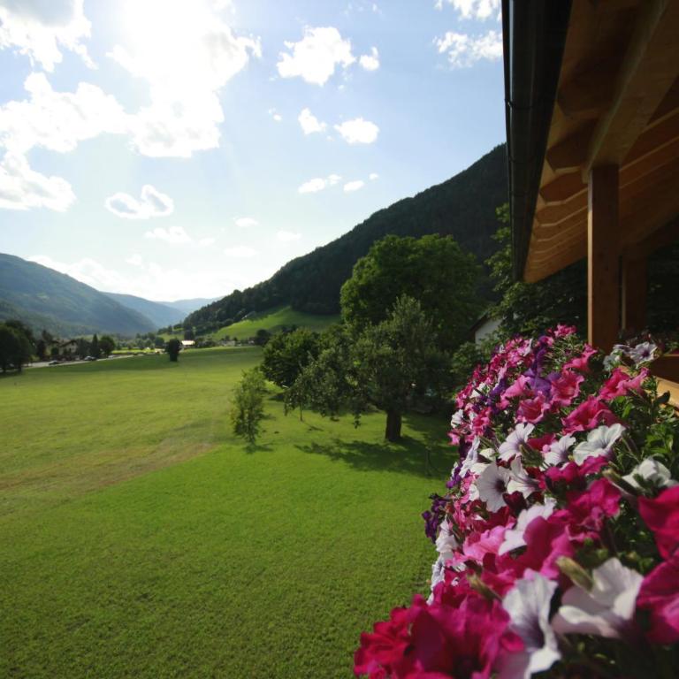 Pitterlehof - Appartamento - 23