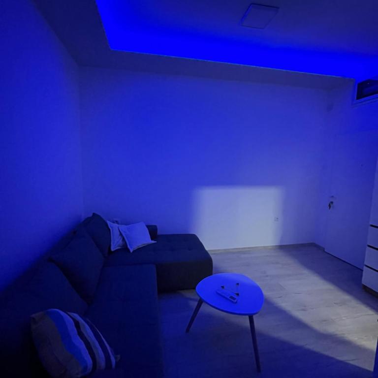 Saška apartmant - Apartman sa 1 Spavaćom Sobom - 1