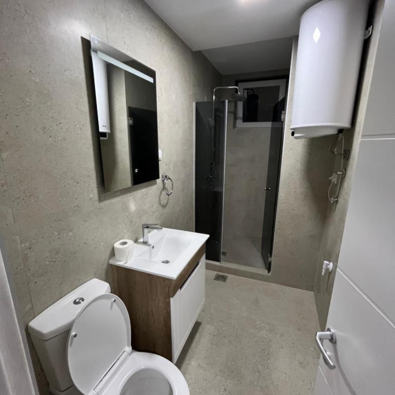 Saška apartmant - Apartman sa 1 Spavaćom Sobom - 2