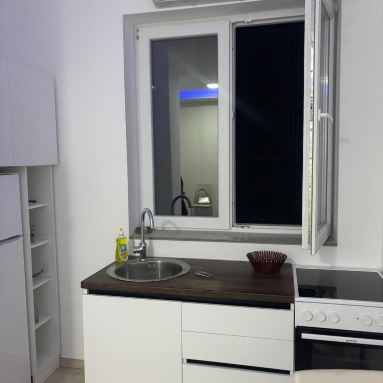 Saška apartmant - Apartman sa 1 Spavaćom Sobom - 3