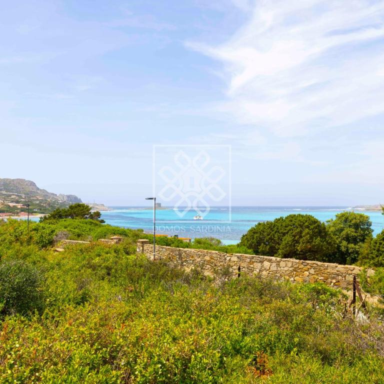 Turtle House - Villa con 2 Camere da Letto - 29
