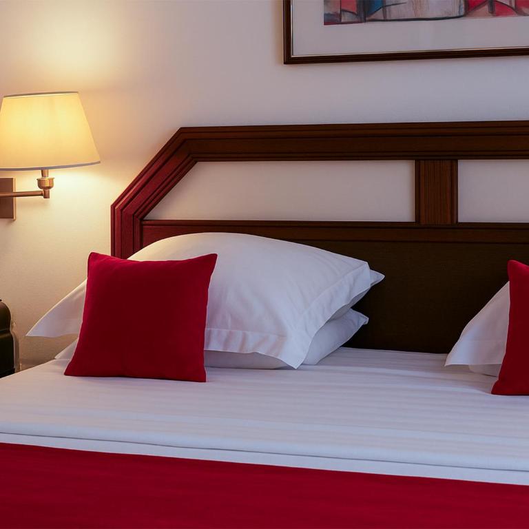 Hotel Du Parc - Mulhouse Centre - Chambre Supérieure Lit Queen-Size - 14