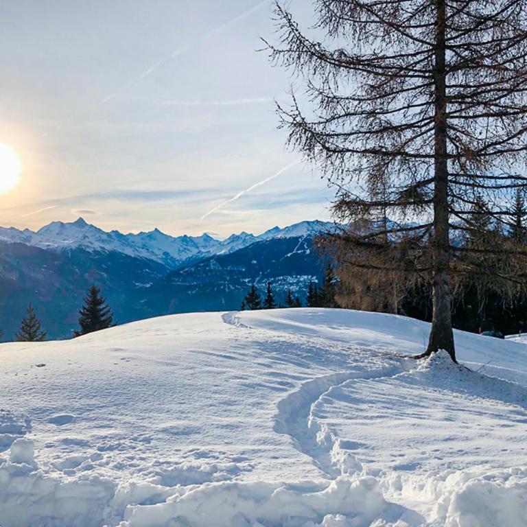 Chalet Les Bardeaux - Maison de Vacances - 20