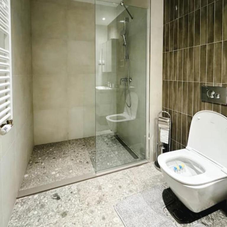 BW Sole Apartman - Apartman s 2 Spavaće Sobe sa Balkonom i Terasom - 9